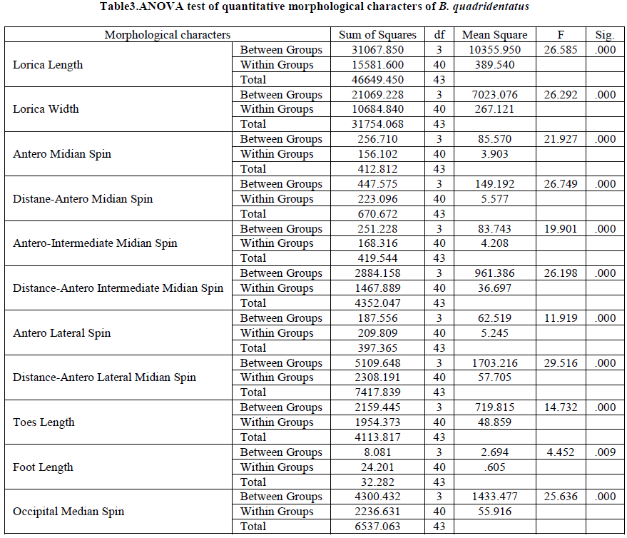 european-journal-of-experimental-quantitative