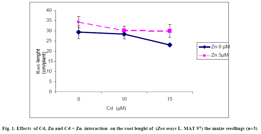 european-journal-of-experimental-root-lenght