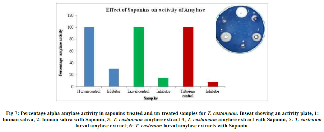 european-journal-of-experimental-saponins-treated