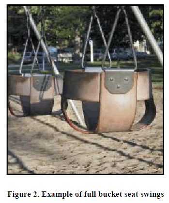 european-journal-of-experimental-seat-swings