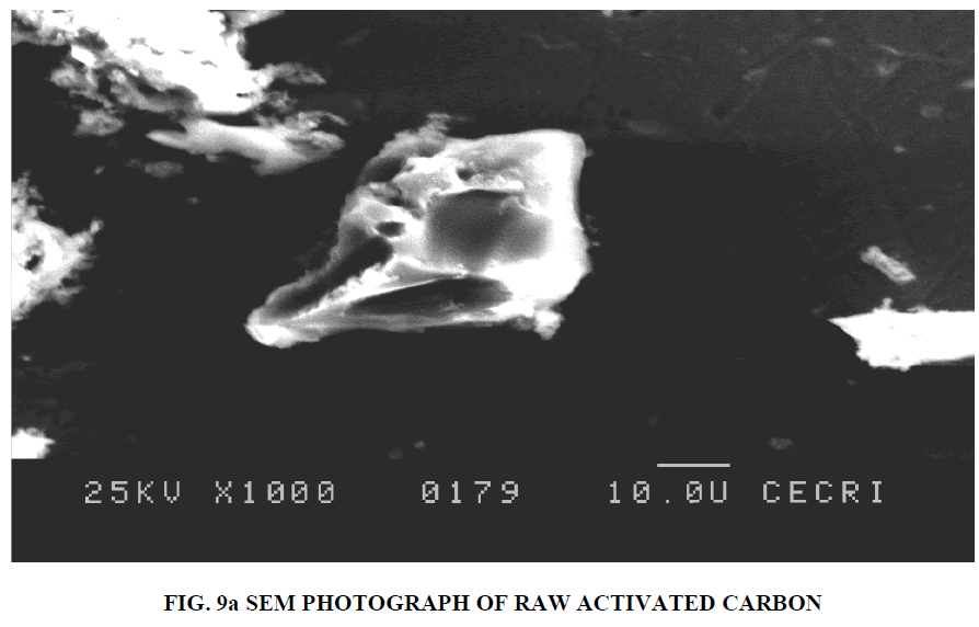 european-journal-of-experimental-sem-photograph