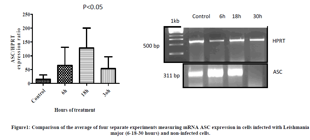 european-journal-of-experimental-separate-experiments