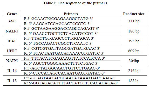 european-journal-of-experimental-sequence-primers
