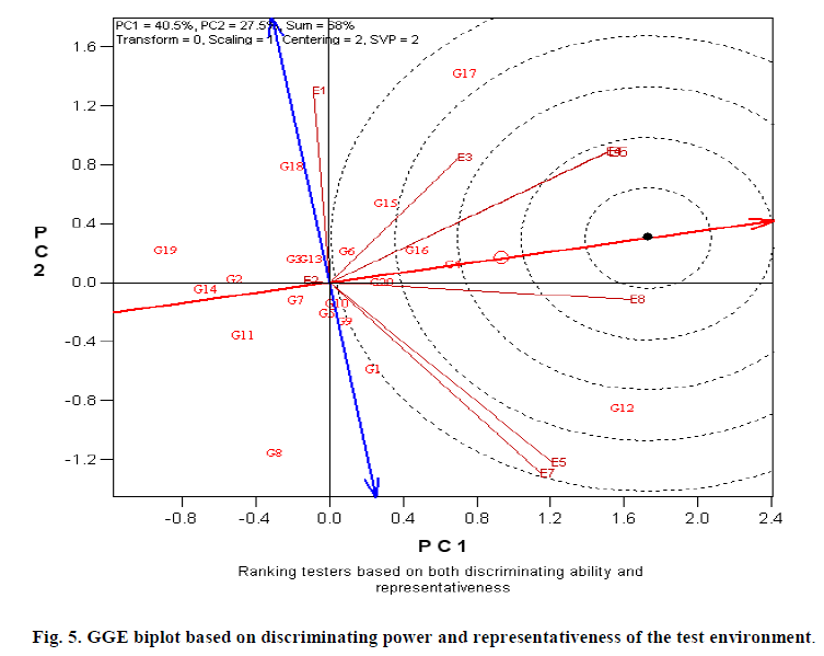 european-journal-of-experimental-test-environment