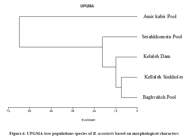 european-journal-of-experimental-tree-populations