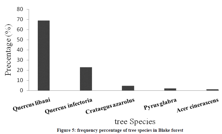 european-journal-of-experimental-tree-species