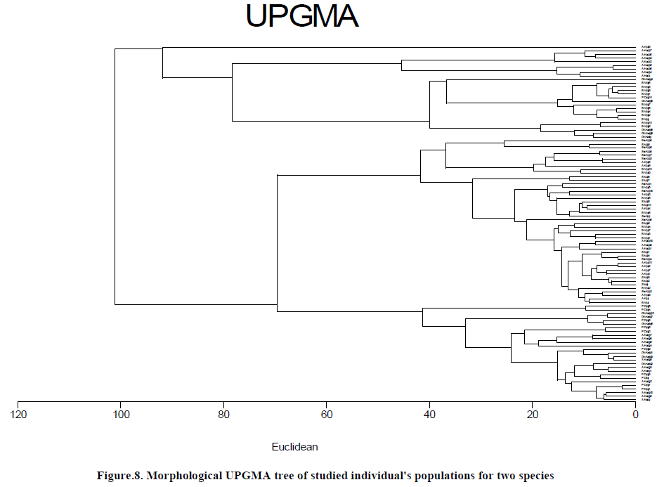 european-journal-of-experimental-two-species