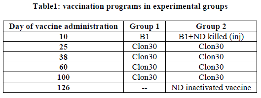 european-journal-of-experimental-vaccination-programs