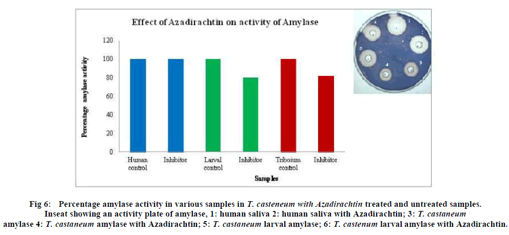 european-journal-of-experimental-various-samples