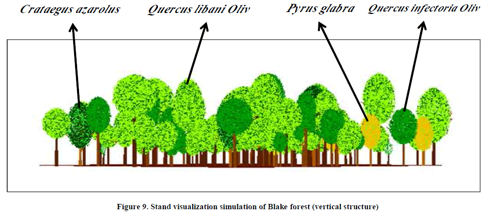 european-journal-of-experimental-visualization-simulation