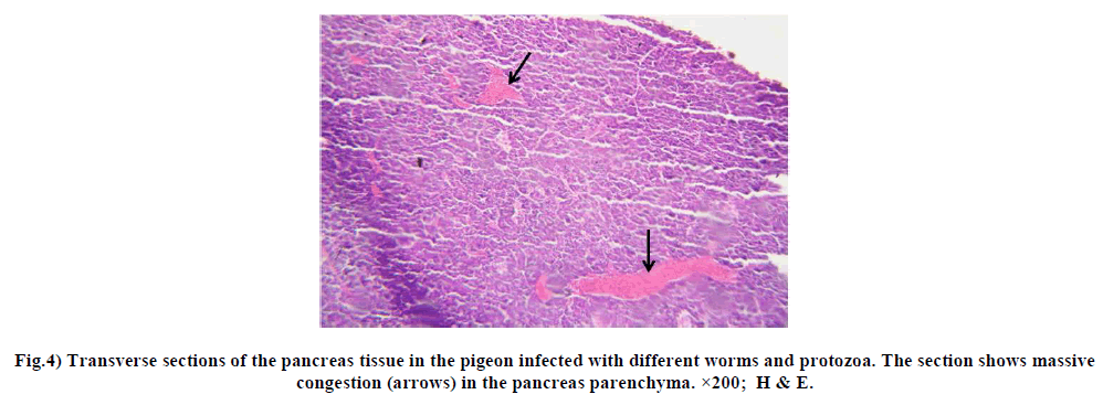 european-journal-of-experimental-worms-protozoa