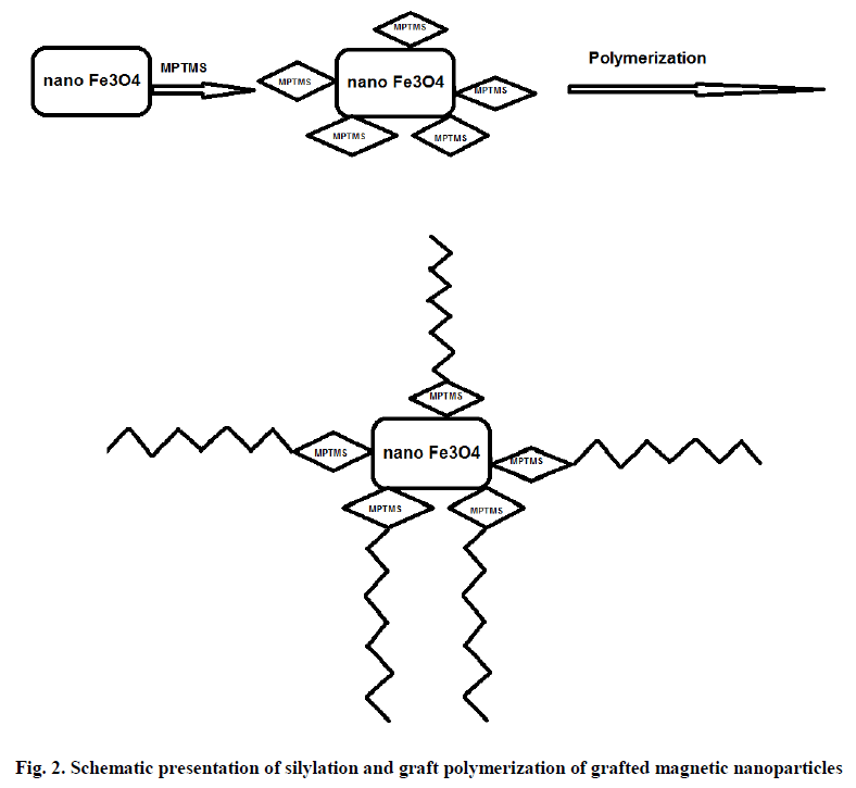 experimental-Schematic-presentation