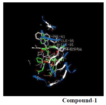 experimental-biology