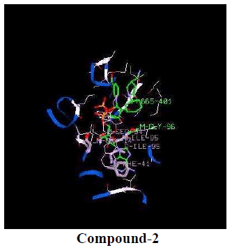 experimental-biology