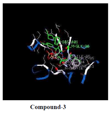 experimental-biology