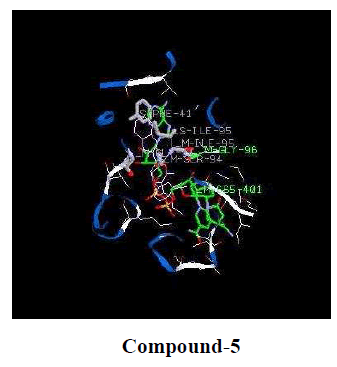 experimental-biology