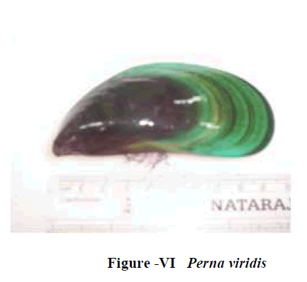 experimental-biology