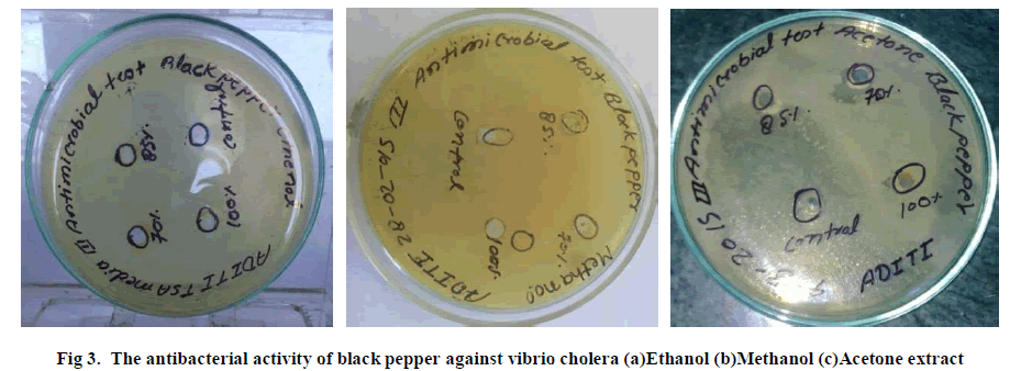 experimental-biology-Acetone-extract