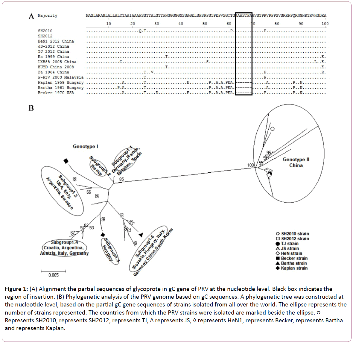 experimental-biology-Alignment-partial-sequences