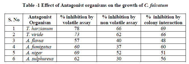 experimental-biology-Antagonist-organisms