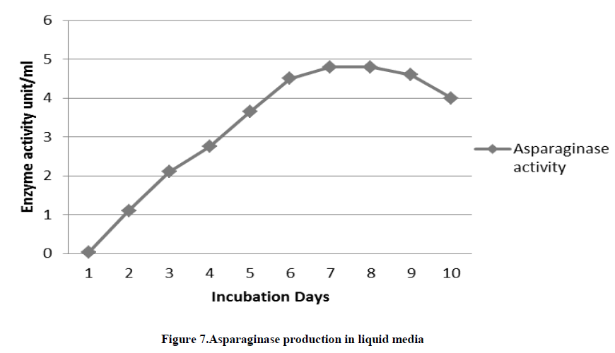 experimental-biology-Asparaginase-production