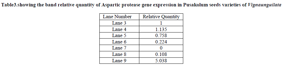 experimental-biology-Aspartic-protease