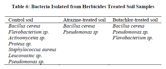 experimental-biology-Bacteria-Isolated