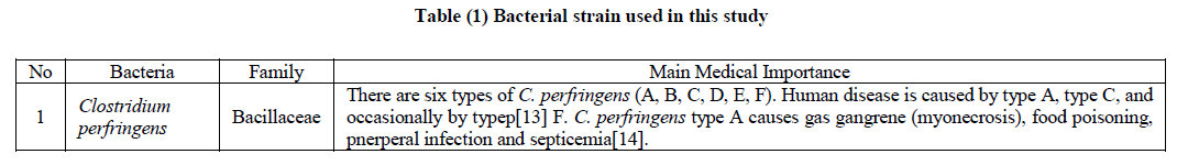 experimental-biology-Bacterial-strain