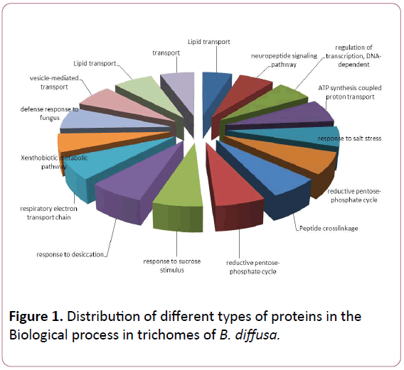 experimental-biology-Biological-process