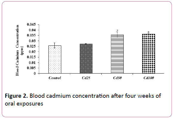 experimental-biology-Blood-cadmium-concentration