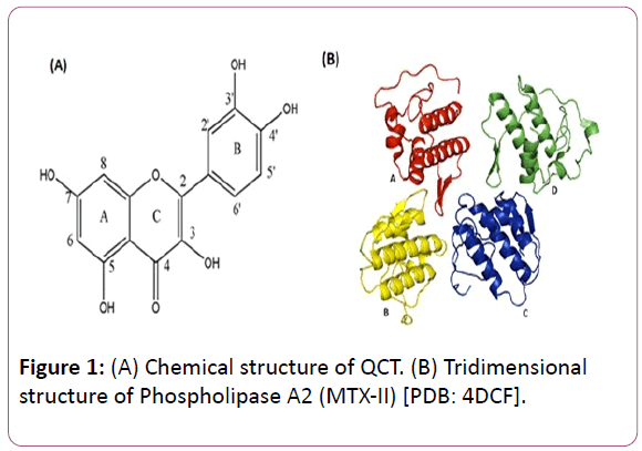 experimental-biology-Chemical-structure