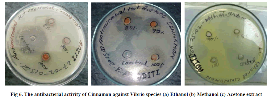 experimental-biology-Cinnamon-against