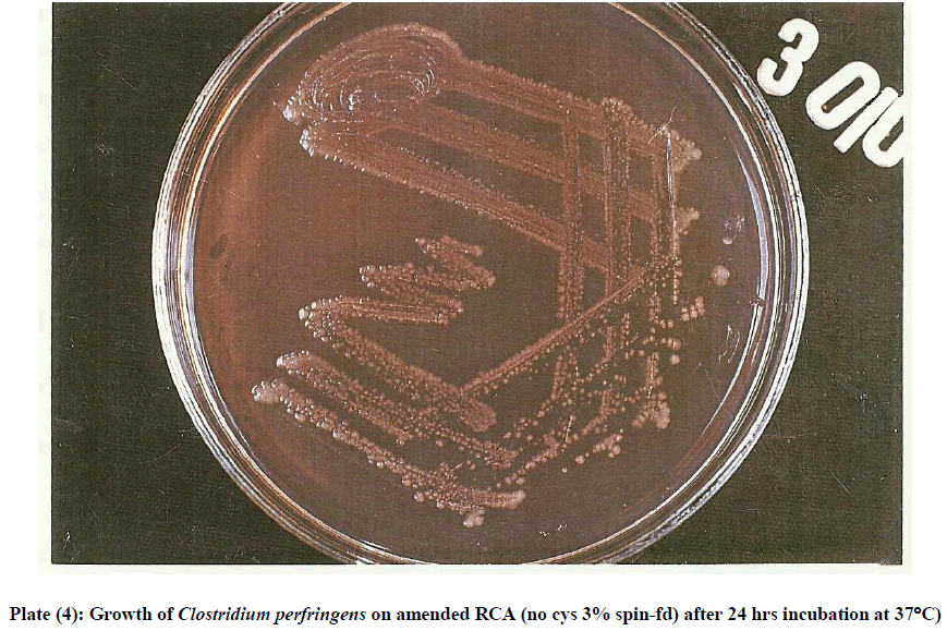 experimental-biology-Clostridium-perfringens