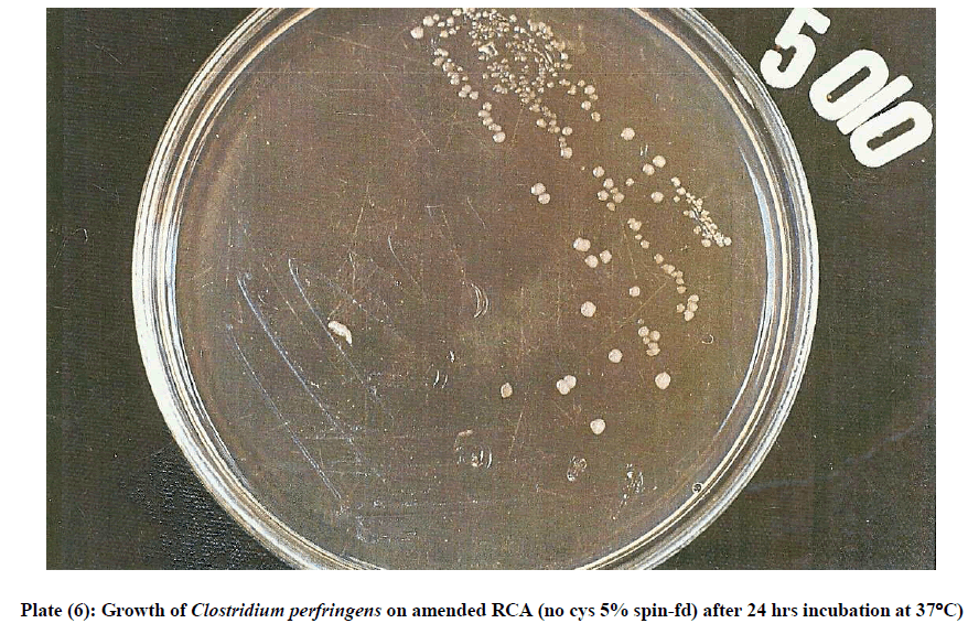 experimental-biology-Clostridium-perfringens