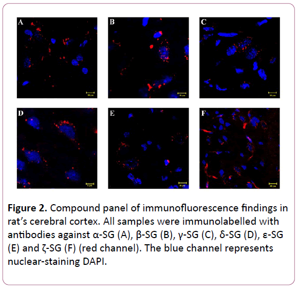 experimental-biology-Compound-panel