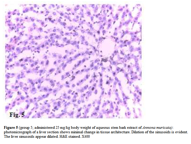 experimental-biology-Dilation-sinusoids