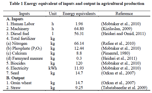 experimental-biology-Energy-equivalent