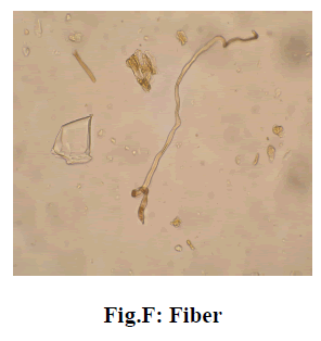 experimental-biology-Fiber