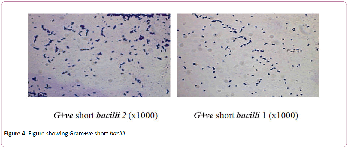 experimental-biology-Figure-showing