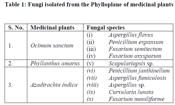 experimental-biology-Fungi-isolated