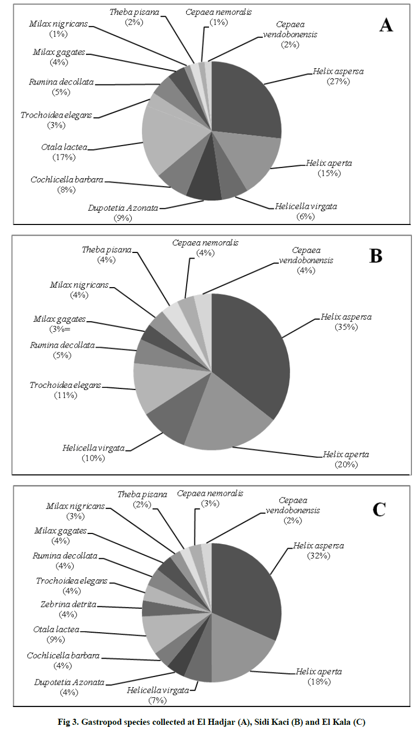 experimental-biology-Gastropod-species