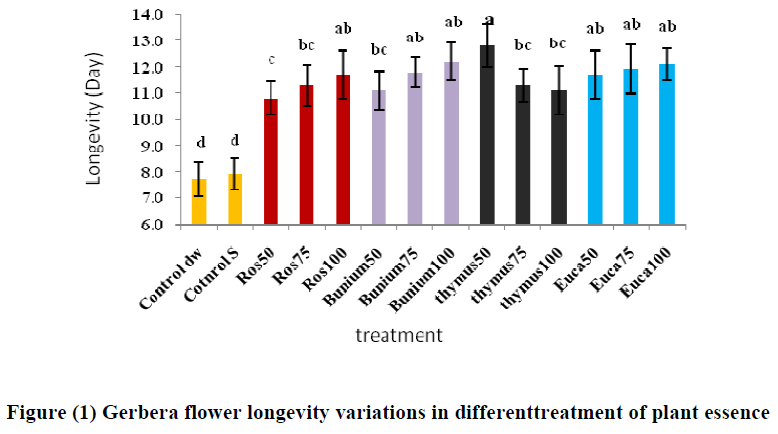 experimental-biology-Gerbera-flower-longevity