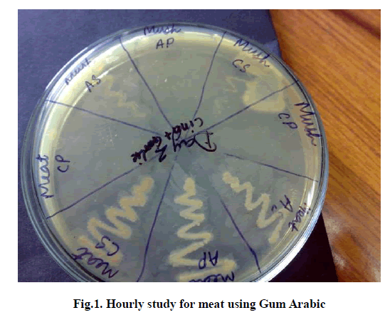 experimental-biology-Gum-Arabic