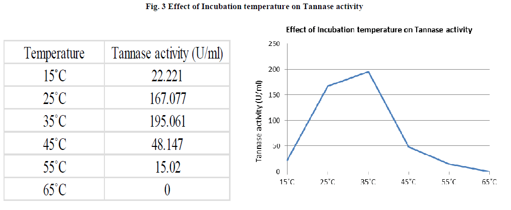 experimental-biology-Incubation-temperature