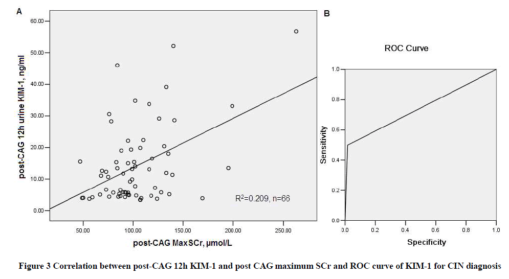 experimental-biology-KIM-1-CIN-diagnosis