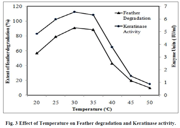 experimental-biology-Keratinase-activity