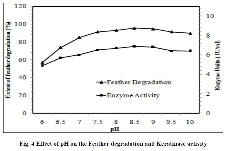 experimental-biology-Keratinase-activity