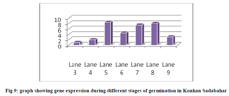 experimental-biology-Konkan-Sadabahar