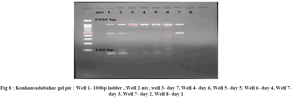 experimental-biology-Konkansadabahar-gel-pic