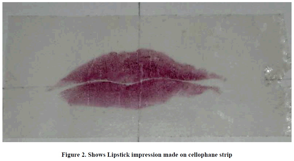 experimental-biology-Lipstick-impression